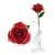 Gomyhom Rose, 24k Gold Rose Handgefertigt Konservierte Rose - mit Geschenkbox für Frau Freundin Oma/Valentinstag/Muttertag/Geburtstag/Hochzeitstag/Weihnachten/Jahrestag/Künstliche Rose (A-Rot) - 4
