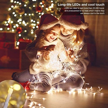 Ollny 800 LED Lichterkette 100M LED Lichterkette Außen Wasserdicht Lichterkette Strombetrieben mit Fernbedienung & Timer, 8 Modi Warmweiß Lichterkette Außen Innen für Weihnachten, Party, Hochzeit - 2
