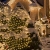 SALCAR 23m 360er LED Lichterkette Niedervolt wasserdichte dekorative Leuchten LED String Licht Wünderschöne Deko für Weihnachten, Hochzeit, Zuhause, Garten, Balkon, Terrasse - Warmweiß - 2