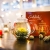 Creano Teeblumen Mix - Geschenkset Erblühtee Frühjahrslese mit Glaskanne Weißer Tee in 6 Sorten, Teerosen, Teeblume, Blooming Tea, Geschenk für Frauen, Mutter, Teeliebhaber - 2