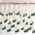 Lunartec Lichterkette kabellos: 30er-Set LED-Weihnachtsbaum-Kerzen mit IR-Fernbedienung, Timer, weiß (Kabellose Weihnachtskerzen) - 2