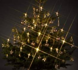 Trango TG340146 24x LED Weihnachtskerzen mit Stecksystem Innenbereich weiß leuchtend - 1