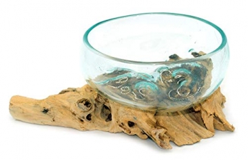 Wurzel mit Glasschale klein Schale Dekoschale Glas auf Holz Durchmesser 12-13 cm Holzdeko Teakholz Deko (Wurzel 17-20 cm) - 3