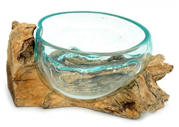 Wurzel mit Glasschale klein Schale Dekoschale Glas auf Holz Durchmesser 12-13 cm Holzdeko Teakholz Deko (Wurzel 17-20 cm) - 4