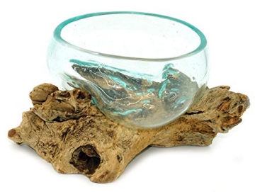 Wurzel mit Glasschale klein Schale Dekoschale Glas auf Holz Durchmesser 12-13 cm Holzdeko Teakholz Deko (Wurzel 17-20 cm) - 5