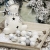 Bochang Kaishuai Mini weihnachtskugeln 54 Stück 30mm Silber deko Christbaumkugeln Set in6 Farben,Weihnachtsbaumkugeln-Silber Weiss,Baumschmuck &Christbaumkugeln Plastik - 4
