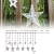 Salcar PREMIUM Lichterkette mit LED - Weihnachtslichterkette - Lichtvorhang mit 12 Sternen - Wasserdicht - Sternvorhang für innen und außen - mit Fernbedienung - warmweiß - 2m lang - 4