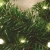 Spetebo Weihnachtsgirlande mit 35 warmweißen LEDs - 270 cm/Batterie und Timer - Tannengirlande Girlande Innen und Außen - 3