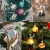 Sporgo Klar Weihnachtskugeln,16 Stück Durchsichtige Kunststoffkugeln DIY Weihnachtskugeln Deko Baumschmuck Hängender Kugel Befüllbare,Transparent Weihnachtsbaum Dekoration für Weihnachten Party - 4