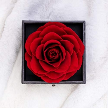Yamonic Echte Rose mit Liebe Sie Halskette Schmuck Geschenk für sie, Ewige Liebe Rose zum Valentinstag Muttertag Jubiläum Geburtstags Geschenk Geschenk für Frauen, Freundin, Frau, Mutter - Rot - 2