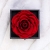 Yamonic Echte Rose mit Liebe Sie Halskette Schmuck Geschenk für sie, Ewige Liebe Rose zum Valentinstag Muttertag Jubiläum Geburtstags Geschenk Geschenk für Frauen, Freundin, Frau, Mutter - Rot - 2