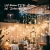 LED Lichtervorhang Schneeflocke, Koicaxy 1.8m 94 LED Lichterketten Fenster Vorhang Weihnachtsbeleuchtung mit 8 Modi für Innen Außen, Weihnachten,Hochzeit, Garten, Party Deko (Warmweiß) - 4