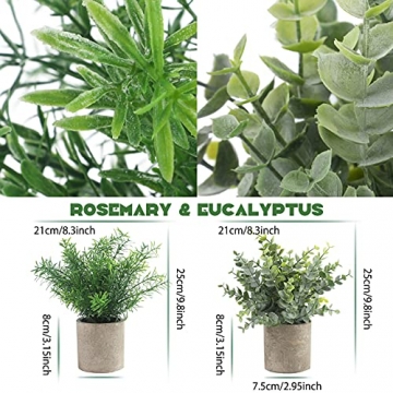 Alagirls 4 Stück Künstliche Pflanzen, Mini Kunstpflanze Eukalyptus Rosmarin Sukkulenten mit Topf Schreibtisch Küche Badezimmer Garten Deko - 2