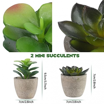 Alagirls 4 Stück Künstliche Pflanzen, Mini Kunstpflanze Eukalyptus Rosmarin Sukkulenten mit Topf Schreibtisch Küche Badezimmer Garten Deko - 3