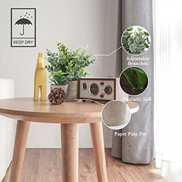 Alagirls 4 Stück Künstliche Pflanzen, Mini Kunstpflanze Eukalyptus Rosmarin Sukkulenten mit Topf Schreibtisch Küche Badezimmer Garten Deko - 5