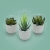 DEZORI Kunstpflanzen [3er Set] - Künstliche Pflanzen mit grauem Topf und weißen Steinen - Künstliche Sukkulenten - Deko Pflanzen - Schreibtisch Deko - 3
