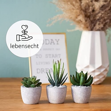 DEZORI Kunstpflanzen [3er Set] - Künstliche Pflanzen mit grauem Topf und weißen Steinen - Künstliche Sukkulenten - Deko Pflanzen - Schreibtisch Deko - 5