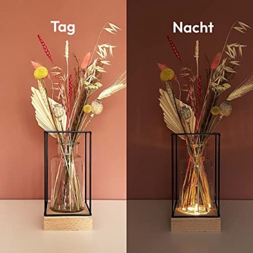 Gadgy Beleuchte Vase Glas | Tischvase mit Blumenlampe | Vasen Deko | Deko Wohnzimmer modern| Skandinavisch/Industrial 22,5 x 10,8 x 10,8 cm - 2