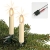 Hellum Lichterkette Made-in-Germany Weihnachtsbaum, Kerzen Lichterkette innen mit Clip, 20 warm-weiße LED-Filament, beleuchtet 1330cm, Kabel grün Schaft elfenbeinfarben, für Innen mit Stecker 814019 - 1