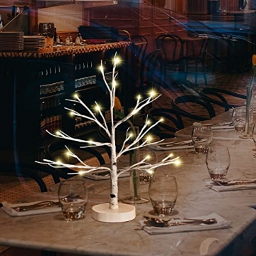 Hypestar Dekoratives Lichterbaum | Leuchtbaum mit 24 Warmweißer LEDs Licht | 45cm Lichterzweige für Tischdekoration | Zeitschaltuhr USB und Batterien | Weihnachten Ostern Party Innendeko (24led Weiß) - 4