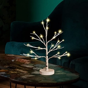 Hypestar Dekoratives Lichterbaum | Leuchtbaum mit 24 Warmweißer LEDs Licht | 45cm Lichterzweige für Tischdekoration | Zeitschaltuhr USB und Batterien | Weihnachten Ostern Party Innendeko (24led Weiß) - 1