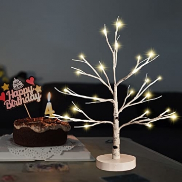Hypestar Dekoratives Lichterbaum | Leuchtbaum mit 24 Warmweißer LEDs Licht | 45cm Lichterzweige für Tischdekoration | Zeitschaltuhr USB und Batterien | Weihnachten Ostern Party Innendeko (24led Weiß) - 6