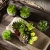 Jobary Set mit 5 künstlichen Sukkulenten mit Töpfen (einschließlich 10 Pflanzen), Bunten und Dekorativen Fälschung Sukkulentenmit Steinen, ideal für Zuhause, Büro und Dekor im Freien - 2