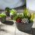 Jobary Set mit 5 künstlichen Sukkulenten mit Töpfen (einschließlich 10 Pflanzen), Bunten und Dekorativen Fälschung Sukkulentenmit Steinen, ideal für Zuhause, Büro und Dekor im Freien - 3