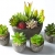 Jobary Set mit 5 künstlichen Sukkulenten mit Töpfen (einschließlich 10 Pflanzen), Bunten und Dekorativen Fälschung Sukkulentenmit Steinen, ideal für Zuhause, Büro und Dekor im Freien - 1