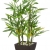 khevga Deko-Bambus Pflanze im Topf - 1