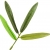 khevga Deko-Bambus Pflanze im Topf - 4