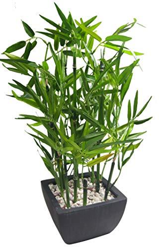 khevga Deko-Bambus Pflanze im Topf - 6