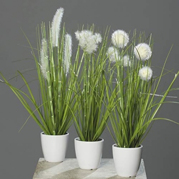 mucplants Kunstpflanze Gras im weißen Topf 3 Stück Höhe 38cm Grün/Creme Kunstgras Ziergras Tischdekoration - 1