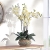 Pureday Schneider Home Kunstpflanze Orchidee weiß-Creme mit Übertopf aus Keramik braun 58 cm hoch - 2