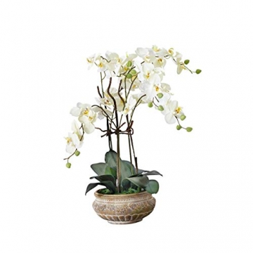 Pureday Schneider Home Kunstpflanze Orchidee weiß-Creme mit Übertopf aus Keramik braun 58 cm hoch - 1