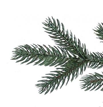 RS Trade 1418 PE Spritzguss Weihnachtsbaum künstlich 240 cm (Ø ca. 147 cm mit ca. 6980 Spitzen, schwer entflammbarer Tannenbaum mit Schnellaufbau Klappsysem, inkl. Metall Christbaum Ständer - 5