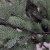 RS Trade HXT 1418 künstlicher PE Spritzguss Weihnachtsbaum 210 cm (Ø ca. 132 cm) mit ca. 4850 Spitzen, schwer entflammbarer Tannenbaum mit Schnellaufbau Klappsysem, inkl. Metall Christbaum Ständer - 4