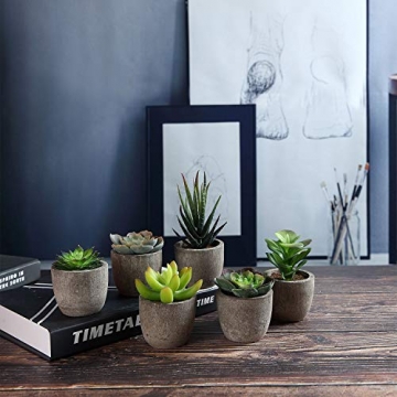 T4U 6er Set Mini Künstliche Sukkulenten Dekorative Kunstpflanze Bonsai mit Topf - Sammlung 1 - 2