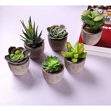T4U 6er Set Mini Künstliche Sukkulenten Dekorative Kunstpflanze Bonsai mit Topf - Sammlung 1 - 4