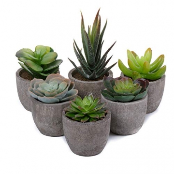T4U 6er Set Mini Künstliche Sukkulenten Dekorative Kunstpflanze Bonsai mit Topf - Sammlung 1 - 5