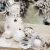 TaimeiMao 35 STK Weihnachtskugeln,6CM Weihnachtskugeln Kunststoff Set,Christbaumkugeln Silber Weiss,Ornamente für Weihnachtsbaum,Kugeln Weihnachtsdeko,Weihnachtsbaum Bälle Dekorationen - 2