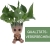 thematys® Baby Groot Blumentopf Deko Dekoration Action Figur Pflanzen Garten Balkon Stifte aus dem Filmklassiker Fanartikel Geschenk I AM Groot (F groß) 15x8,5x8,5cm - 4